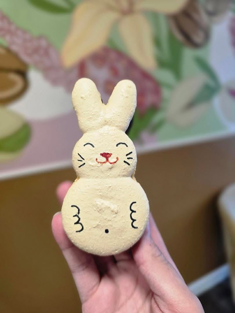 Macaron - Lapin