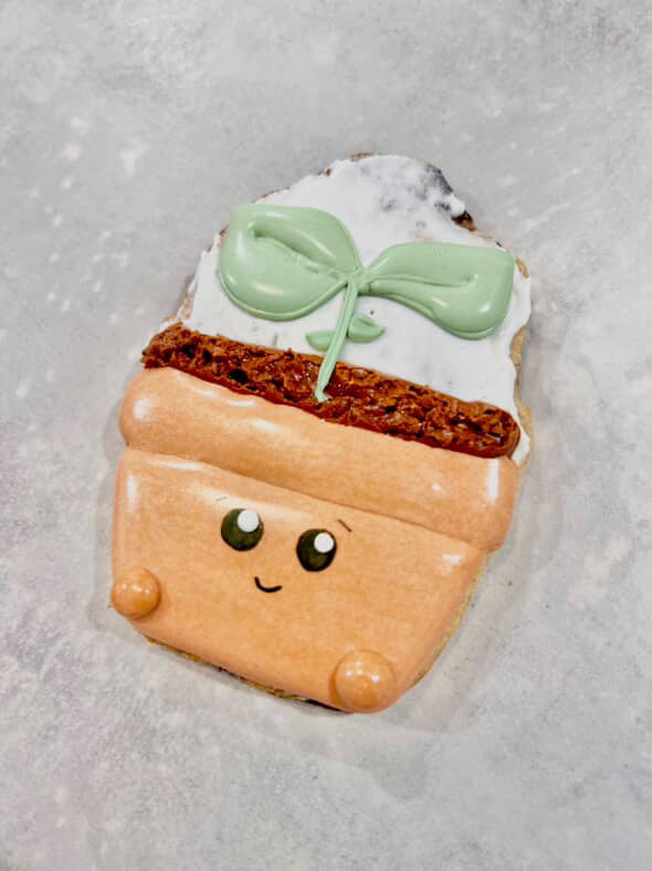 Biscuit - Petite plante