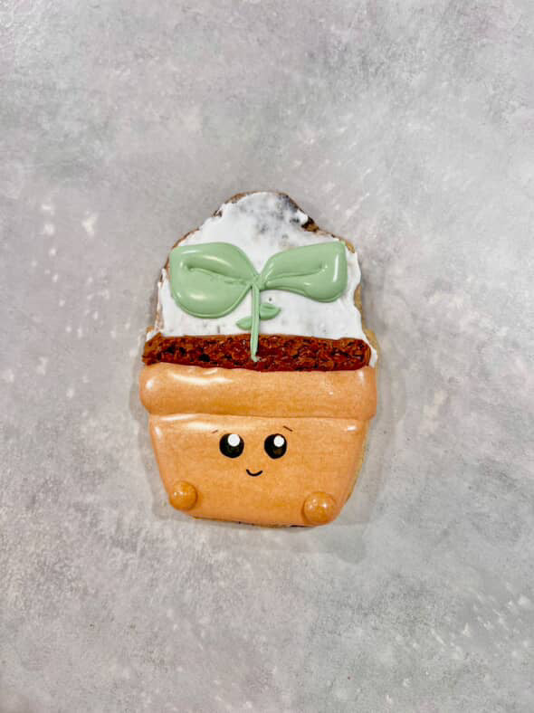 Biscuit - Petite plante