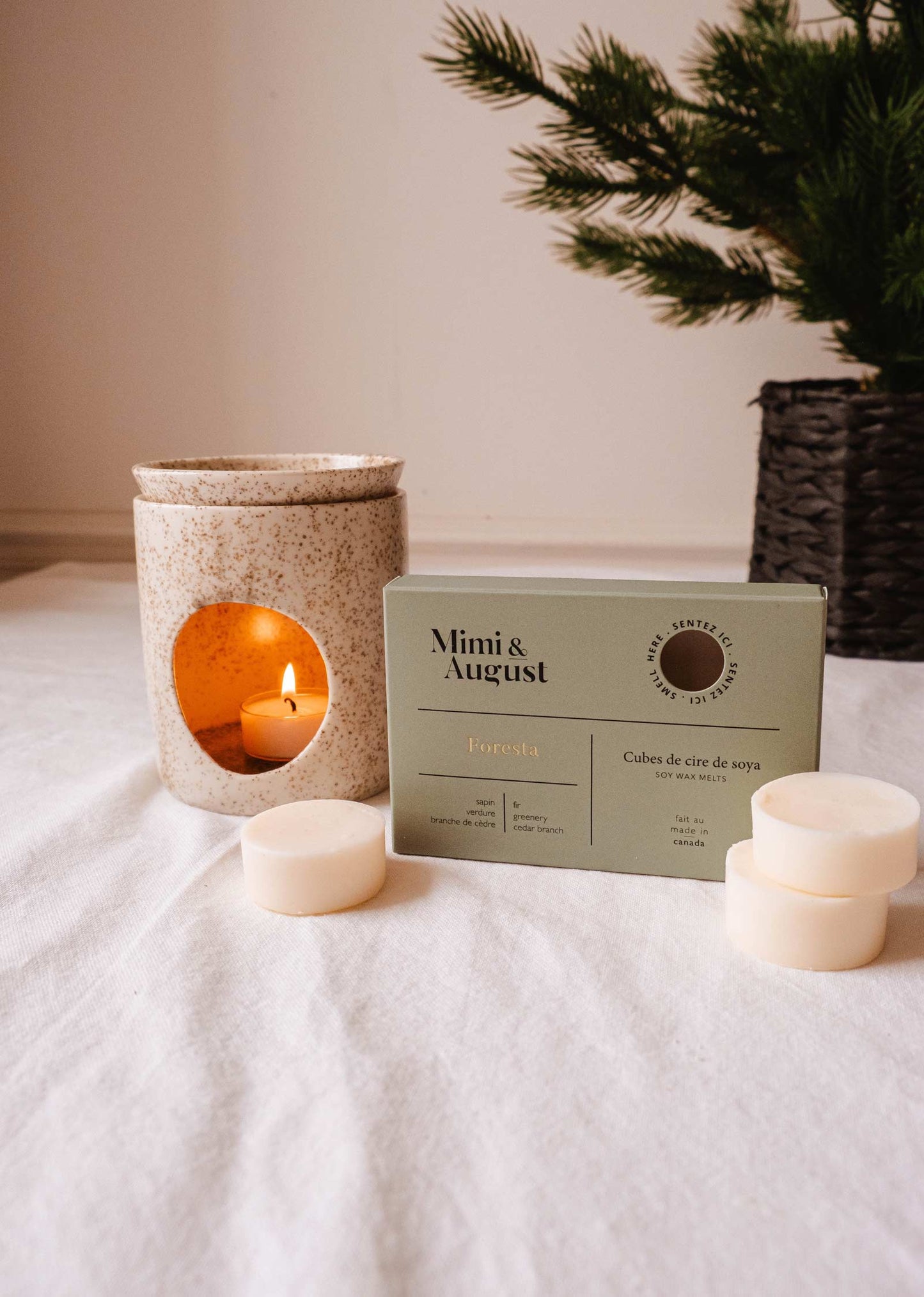 Cubes de cire - Foresta