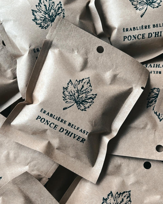 Ponce d’hiver - Boisson à l’érable à infuser