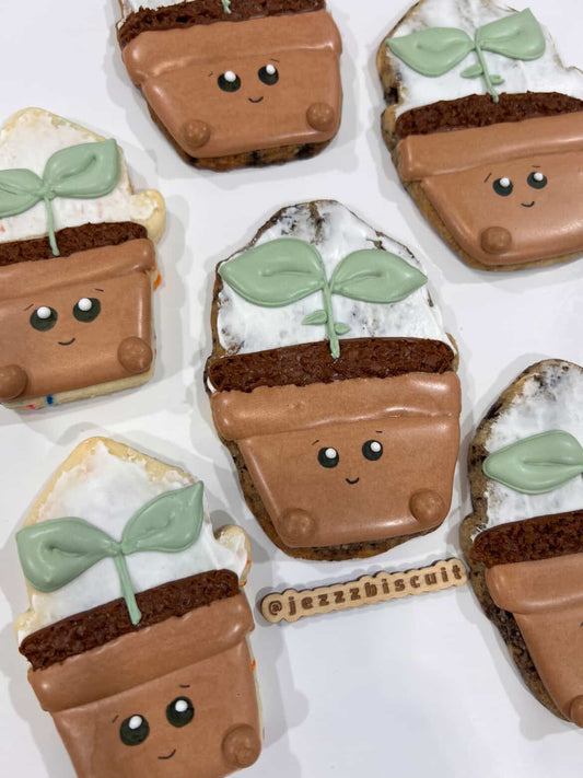 Biscuit - Petite plante