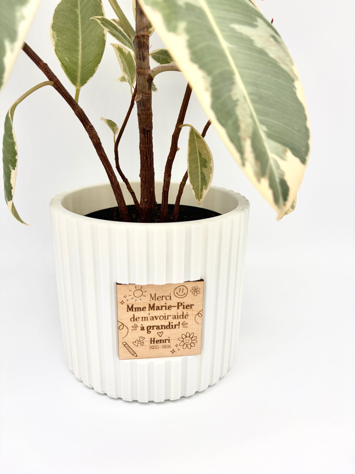 Cache-pot personnalisé - Lignes verticales