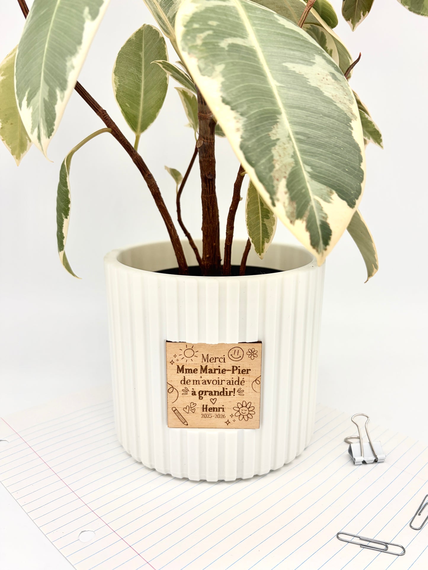 Cache-pot personnalisé - Lignes verticales