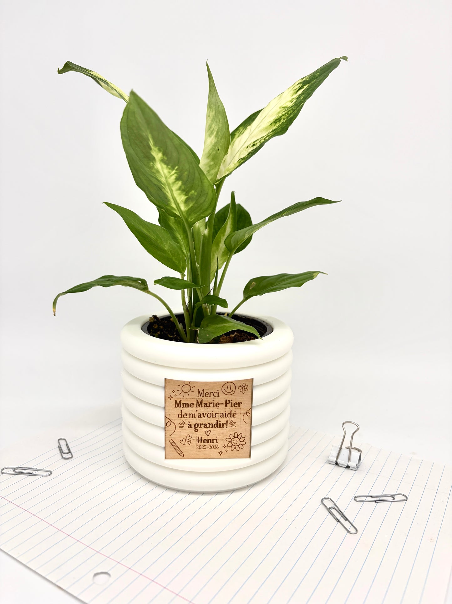 Cache-pot personnalisé - Courbes horizontales