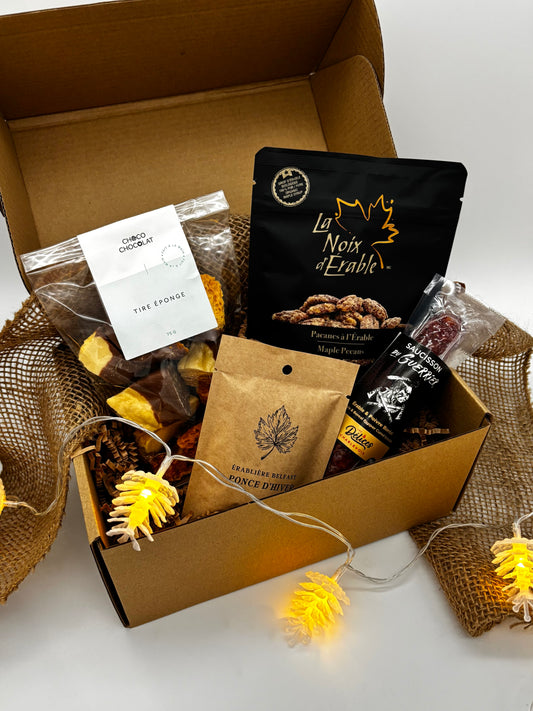 Dans la forêt enchantée