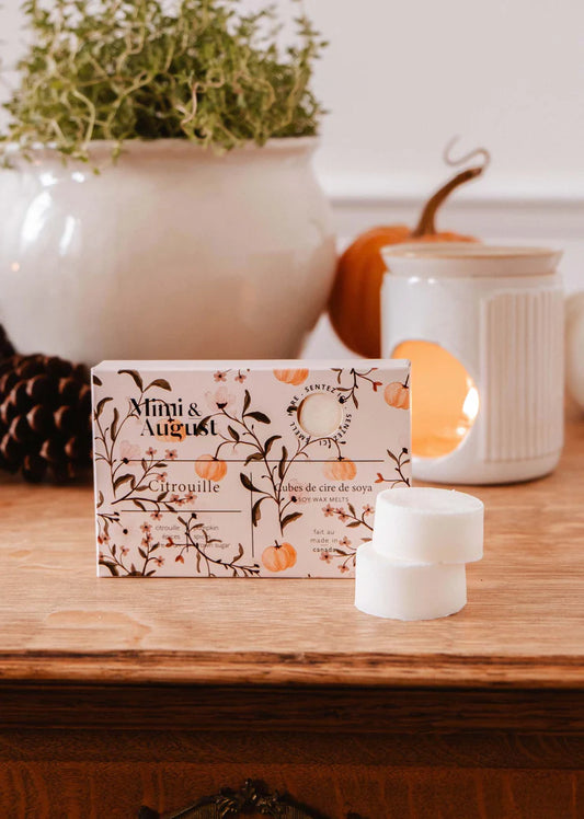 Cubes de cire - Citrouille