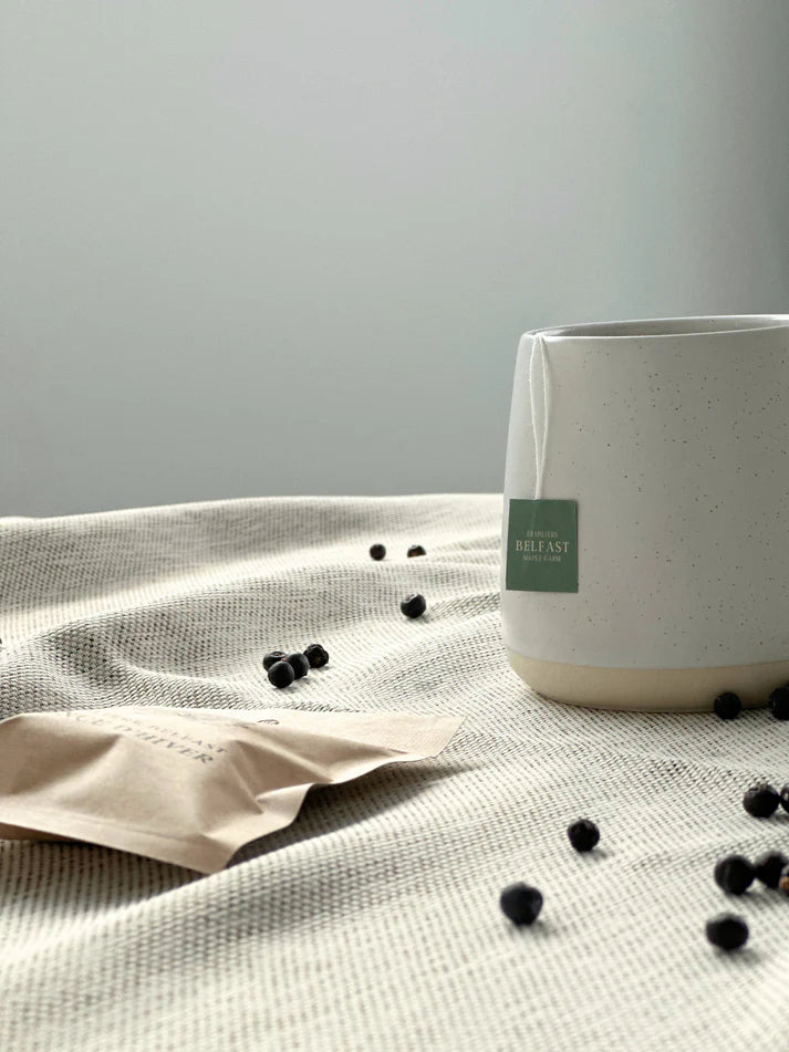 Ponce d’hiver - Boisson à l’érable à infuser